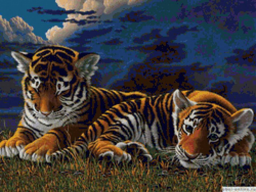 Тигрята - животные, вечер, тигрята, тигр, ночь - предпросмотр