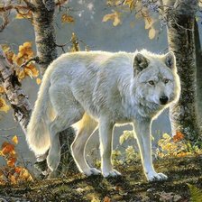 Оригинал схемы вышивки «Белый волк» (№88153)
