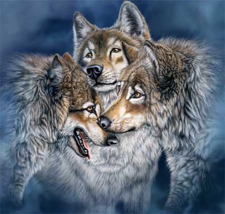 Волки - дружба, семья, волки, животные - оригинал