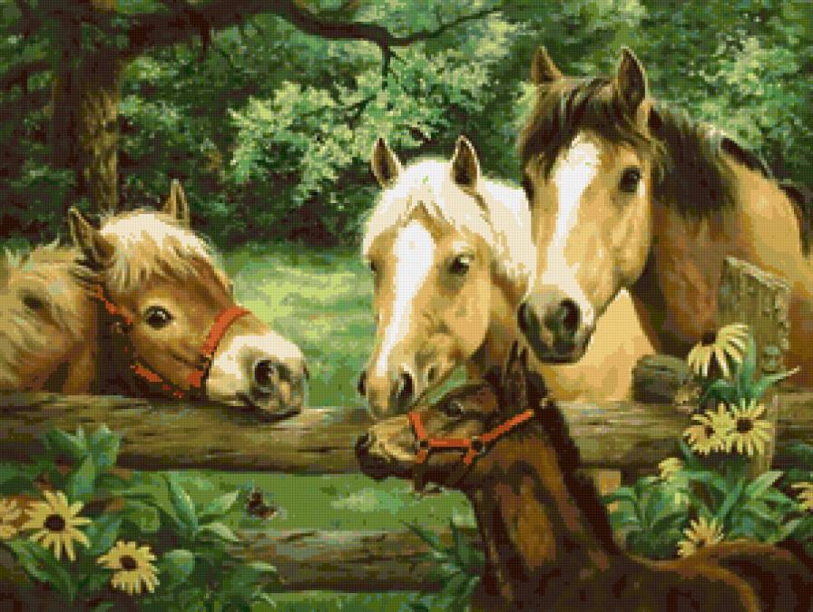 кони - лошади - предпросмотр