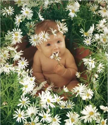 Карапуз в ромашках - малыш, ромашки, карапуз, цветы, дети, трава - оригинал