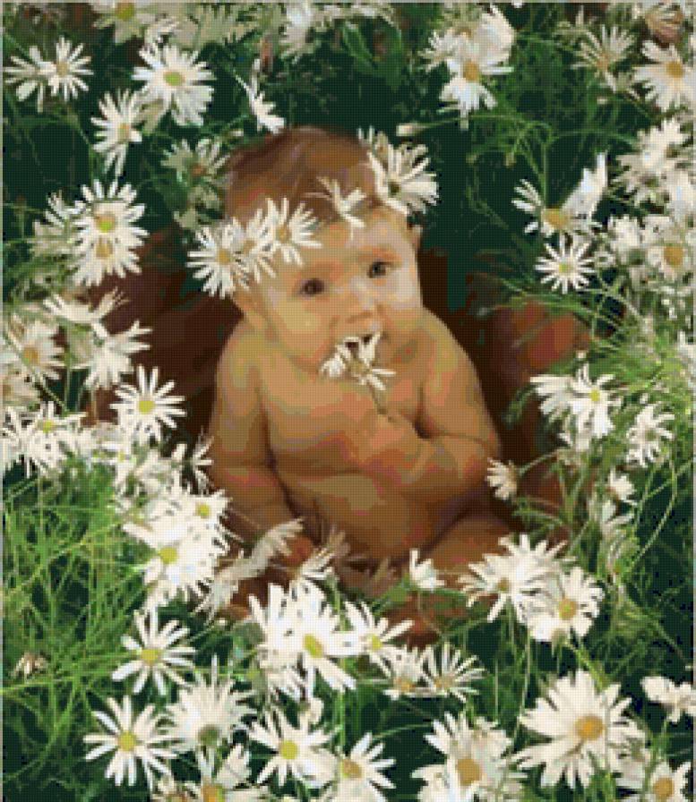 Карапуз в ромашках - дети, карапуз, цветы, трава, малыш, ромашки - предпросмотр