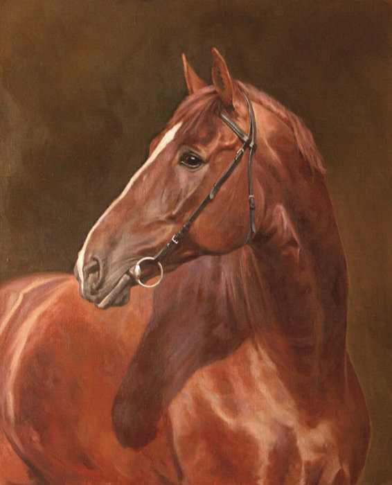 лошадь - лошадь - оригинал