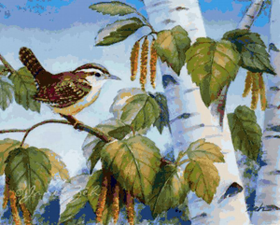 Птичка на берёзке - березка, природа, птичка, пейзаж, листва, птицы, береза, красота - предпросмотр