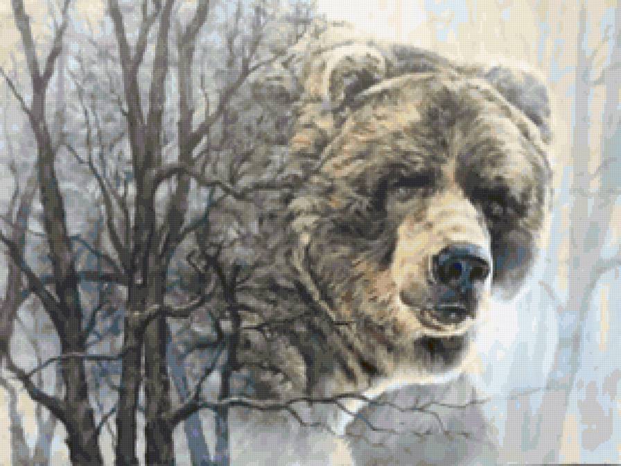 Медведь - медведи, звери, природа, животные, медведь, деревья, пейзаж - предпросмотр