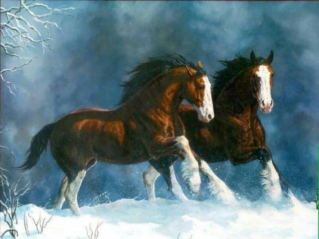 Бегущие лошади - снег, зима, лошади, животные - оригинал
