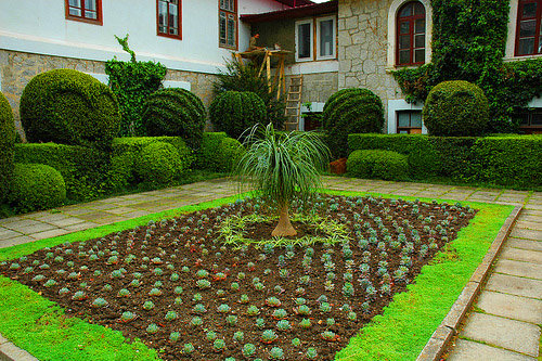 Схема ботанического сада