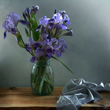 Схема вышивки «Ирисы»