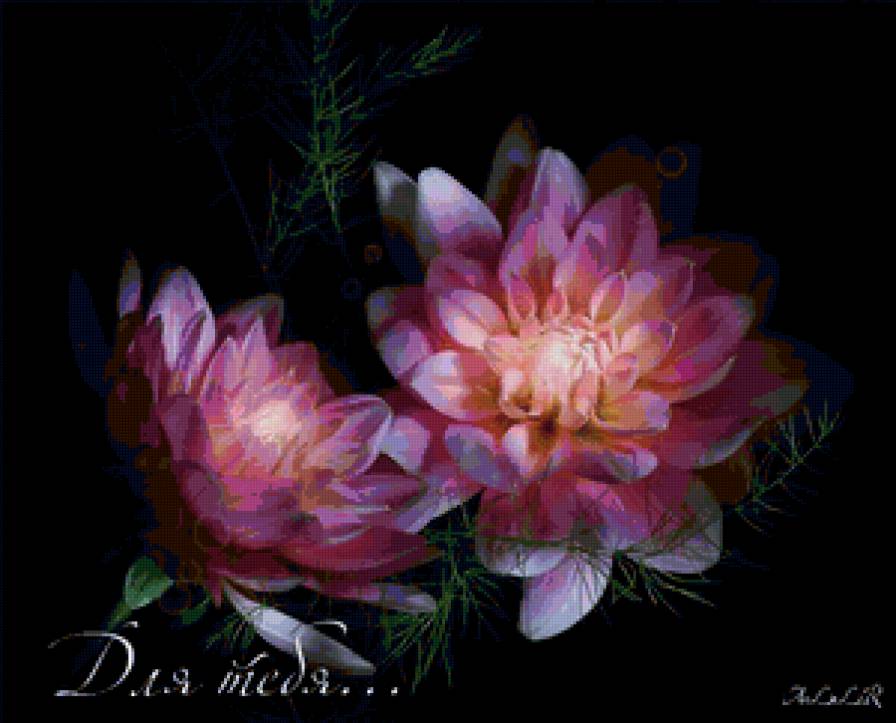 цветы - предпросмотр