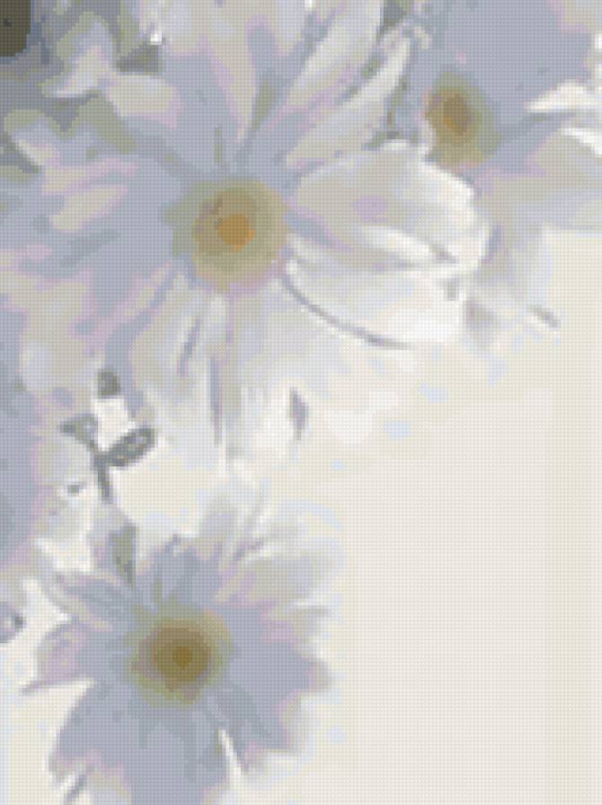 ромашки - цветы - предпросмотр