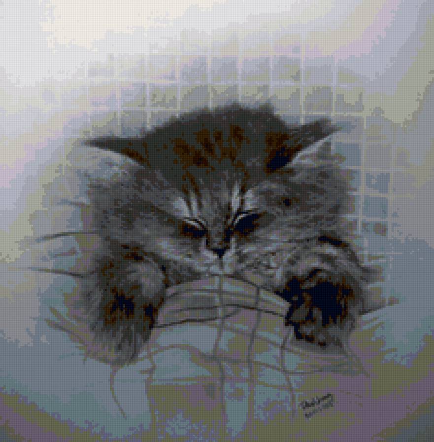 №88833 - предпросмотр