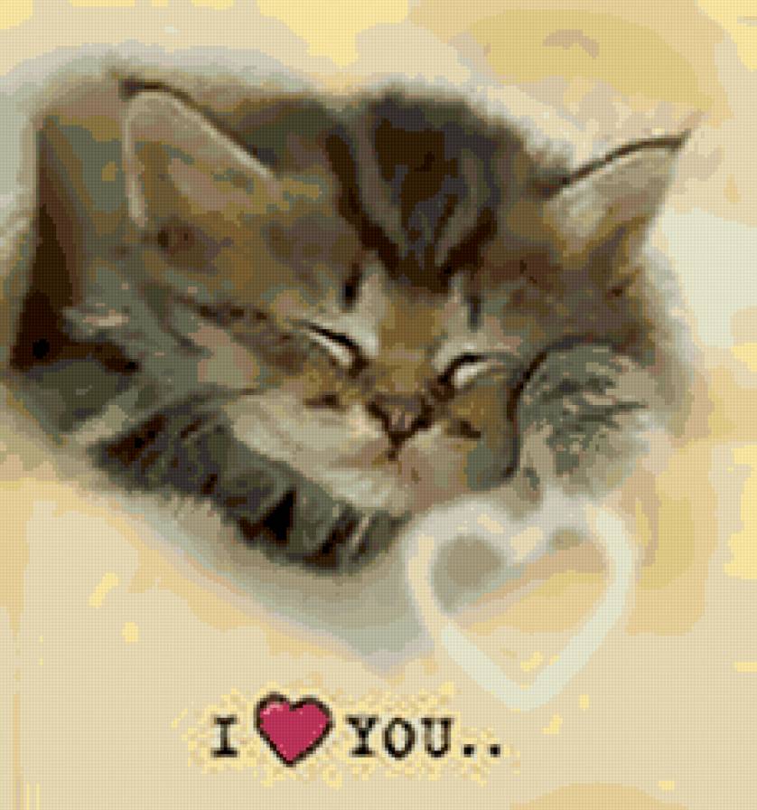 сладкий - котенок - предпросмотр