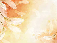 подушка - перья - оригинал