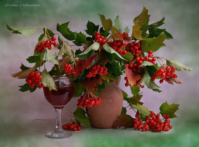 калина красная - калина - оригинал