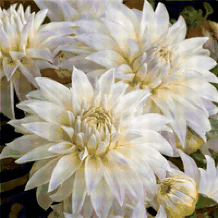 Белый букет - цветы - предпросмотр