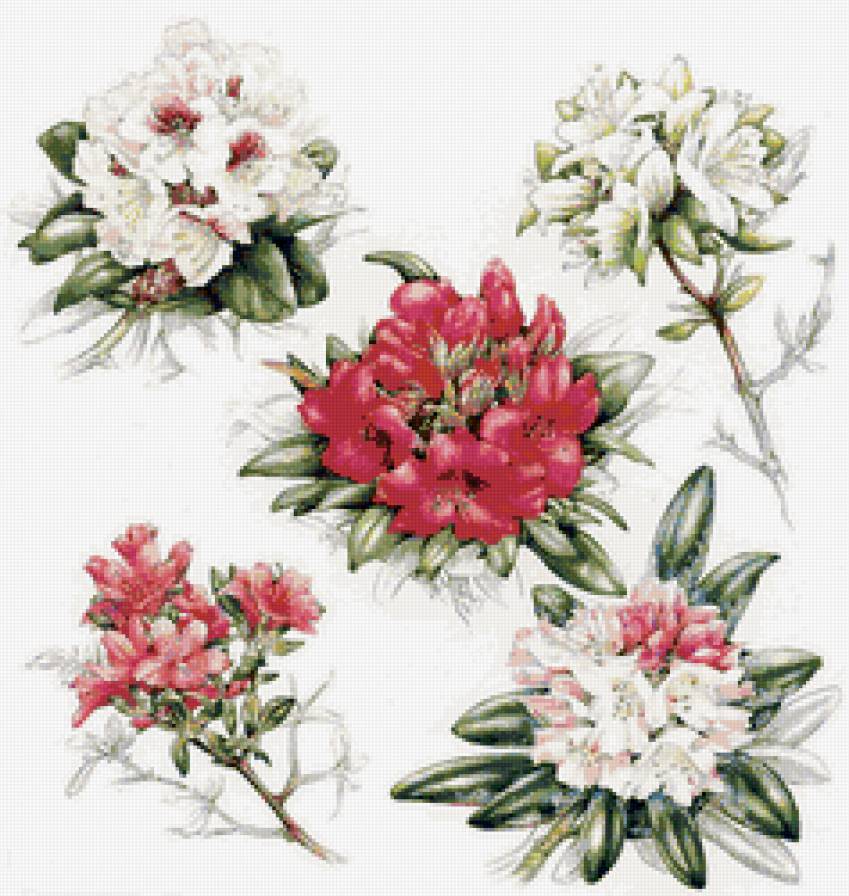 Подушка"Цветы" - подушка, цветы, живопись - предпросмотр