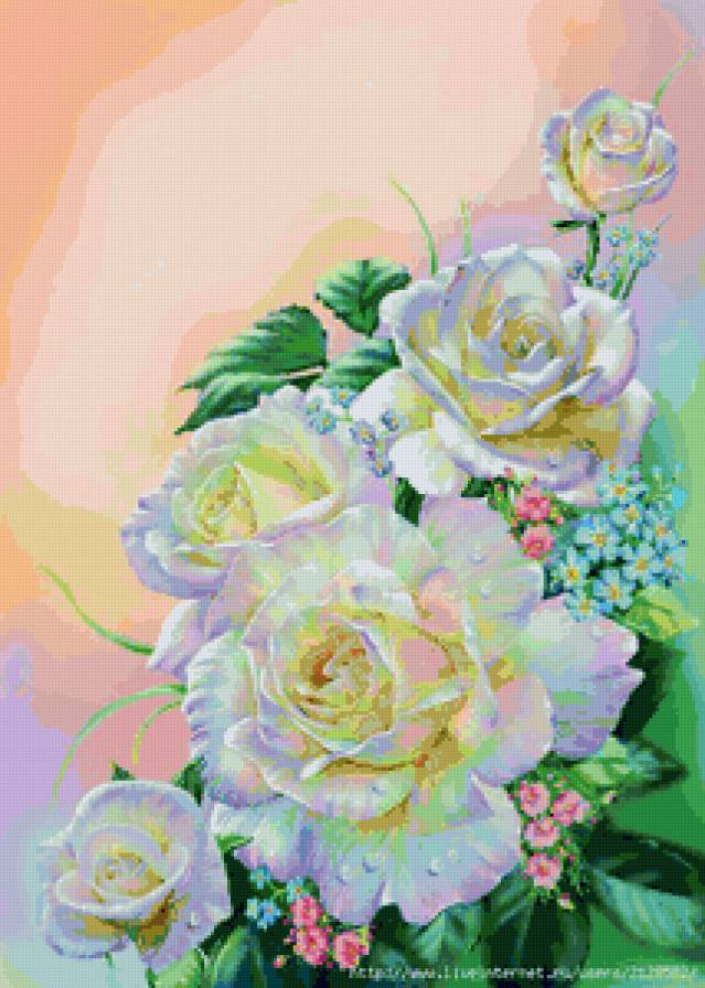 розы - цветы - предпросмотр