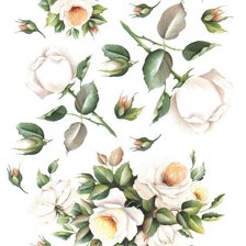 Схема вышивки «набор роз для скатертей и салфеток»