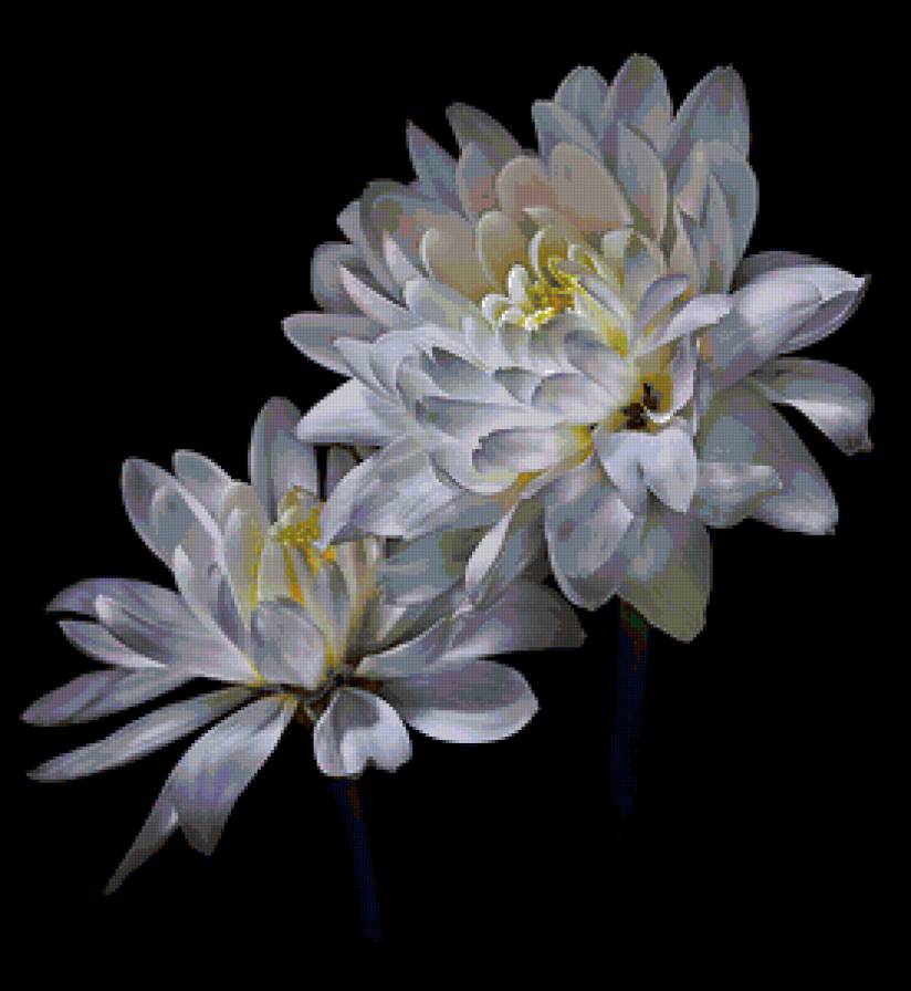 Белые цветы - картина, цветы - предпросмотр