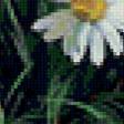 Предпросмотр схемы вышивки «ромашки» (№89842)