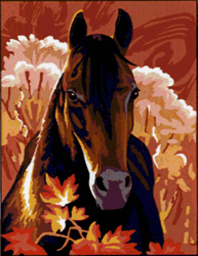 №89896 - лошади, животни, пейзаж - предпросмотр