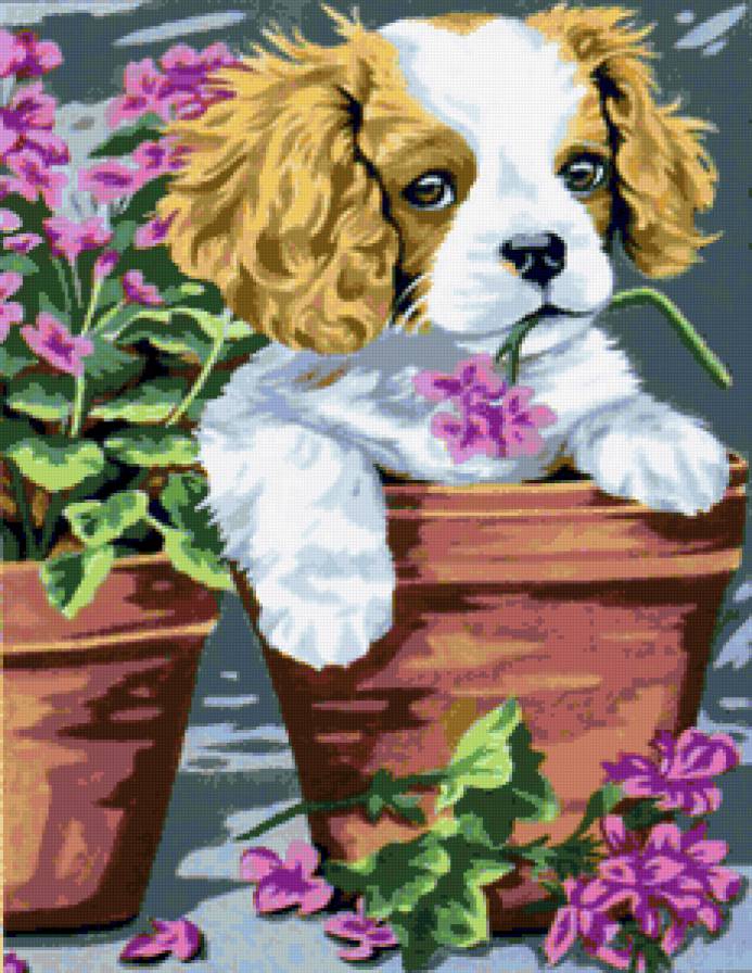 №89902 - пейзаж, животные - предпросмотр