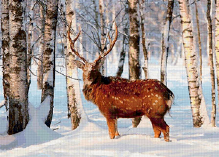 Вожак - олень - предпросмотр
