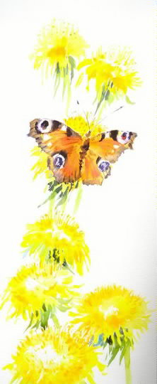 на прогулке Ольга Цурина - цветы, одуванчик, бабочка - оригинал