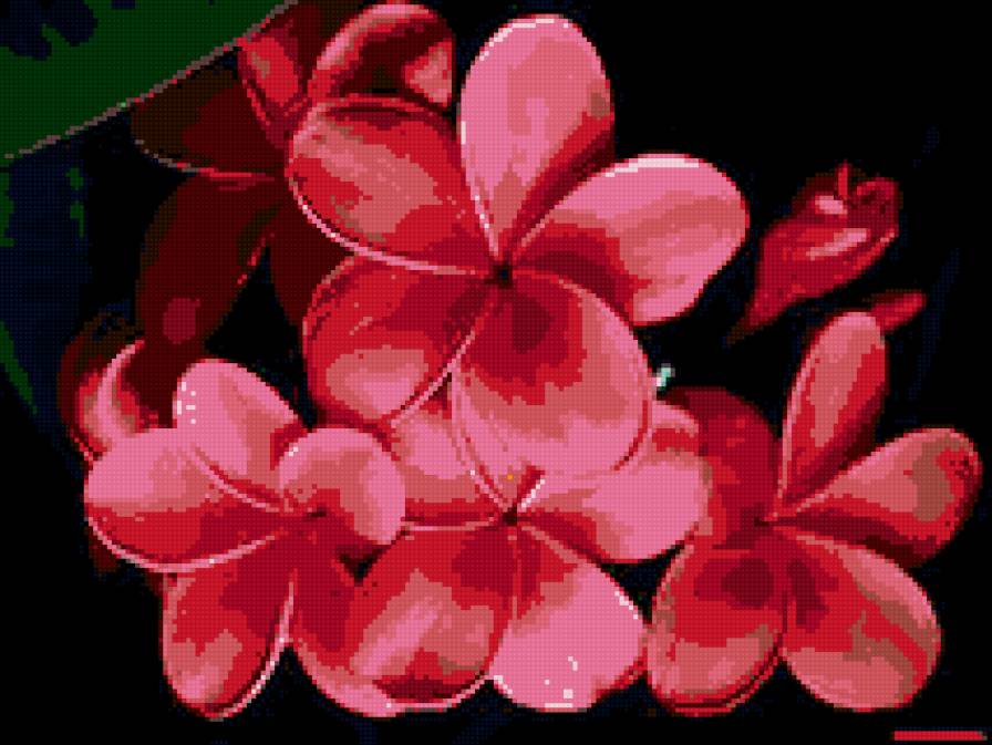 цветы - подушка - предпросмотр