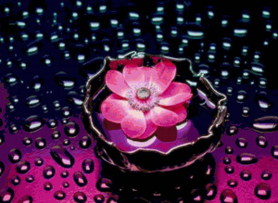 красота - цветы, вода - предпросмотр