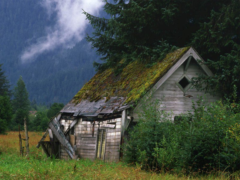 заброшенный дом - дом, природа, лес, горы - оригинал