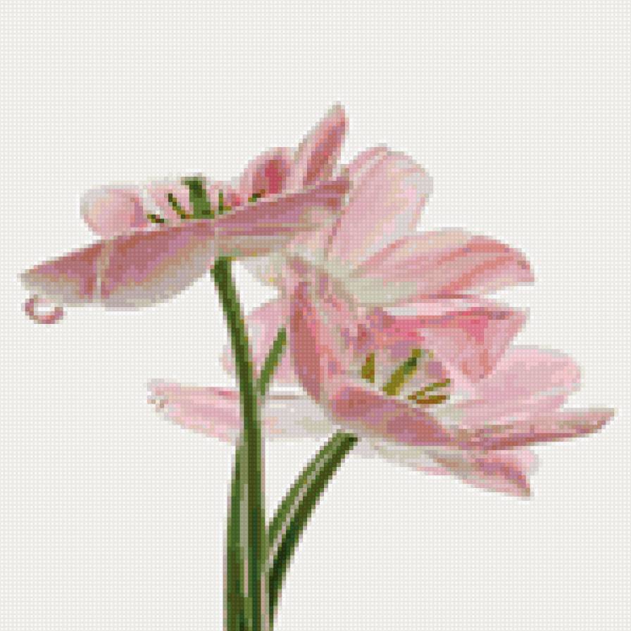 подарок свекрови - цветы - предпросмотр