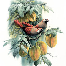 Схема вышивки «№90646»