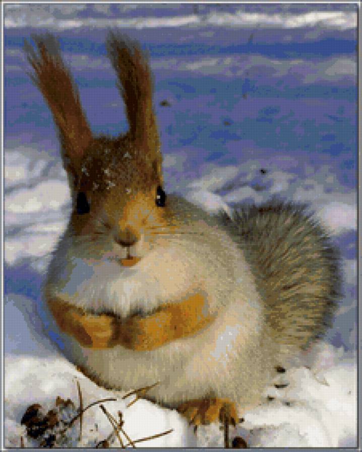 №90651 - предпросмотр