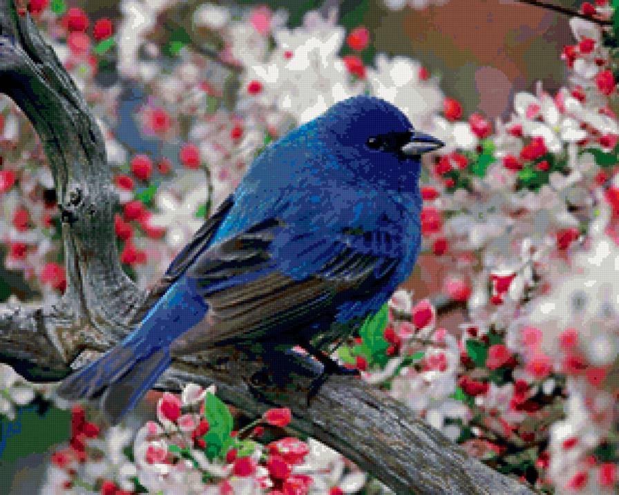 №90684 - предпросмотр