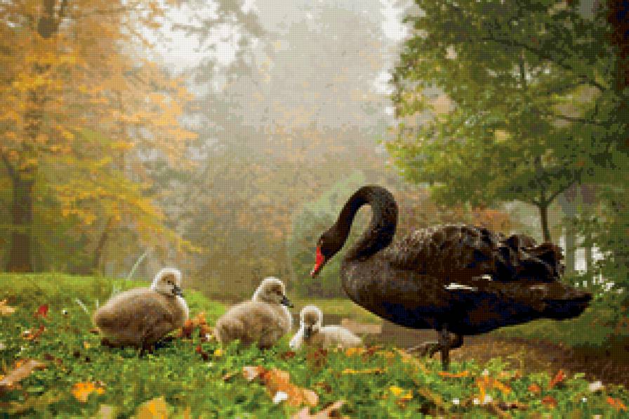 №90703 - предпросмотр