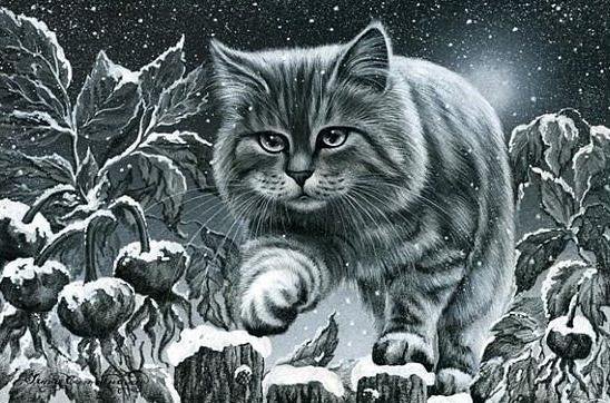 на прогулке - кот, животные - оригинал