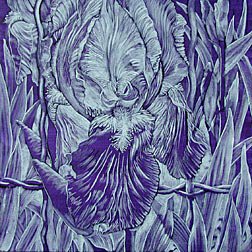 ирисы - подушка, цветы - оригинал