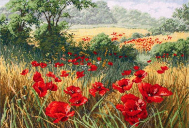 Поле маков - поле маков - оригинал