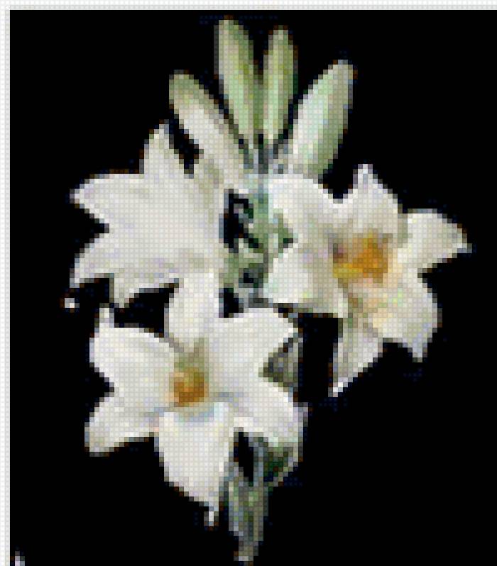 №90983 - предпросмотр