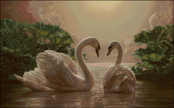 Два лебедя - любовь, вода, птицы, пара - оригинал