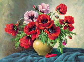 маки - цветы.маки - оригинал