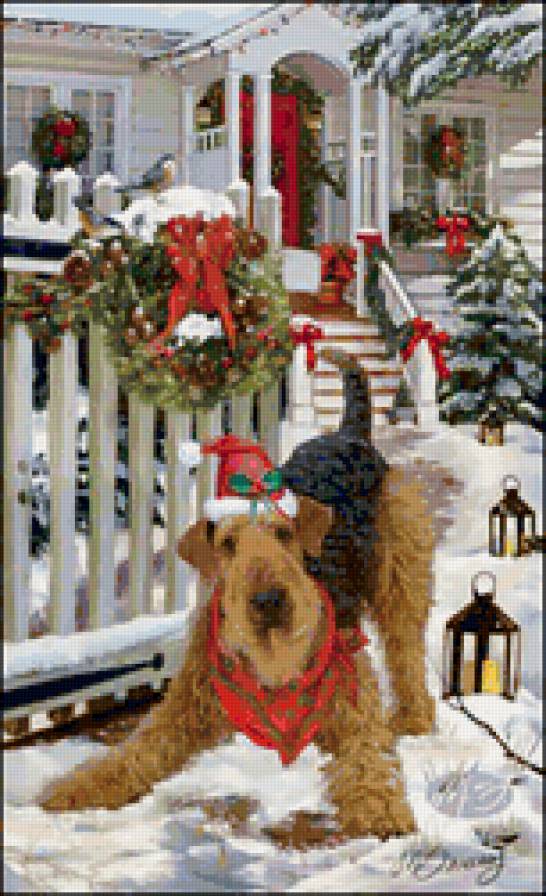 2 - собаки, новогоднее, рождество, животные - предпросмотр