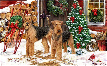 3 - собаки, животные, новогоднее, рождество - оригинал