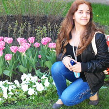 Схема вышивки «Диана»