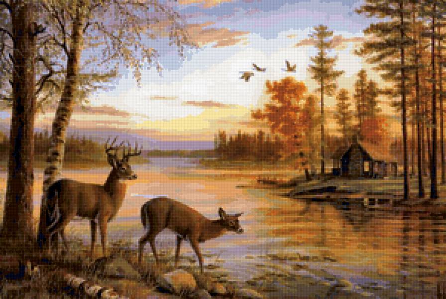 №91619 - предпросмотр