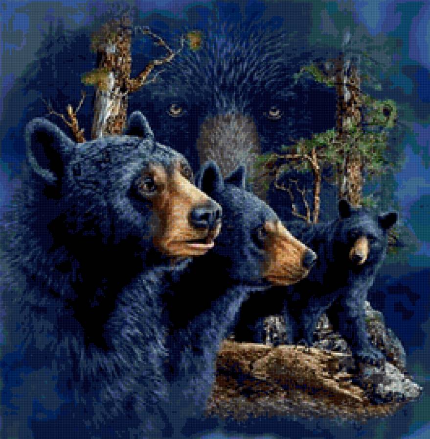 Стивен Гарднер - медведь, животные, хищник - предпросмотр