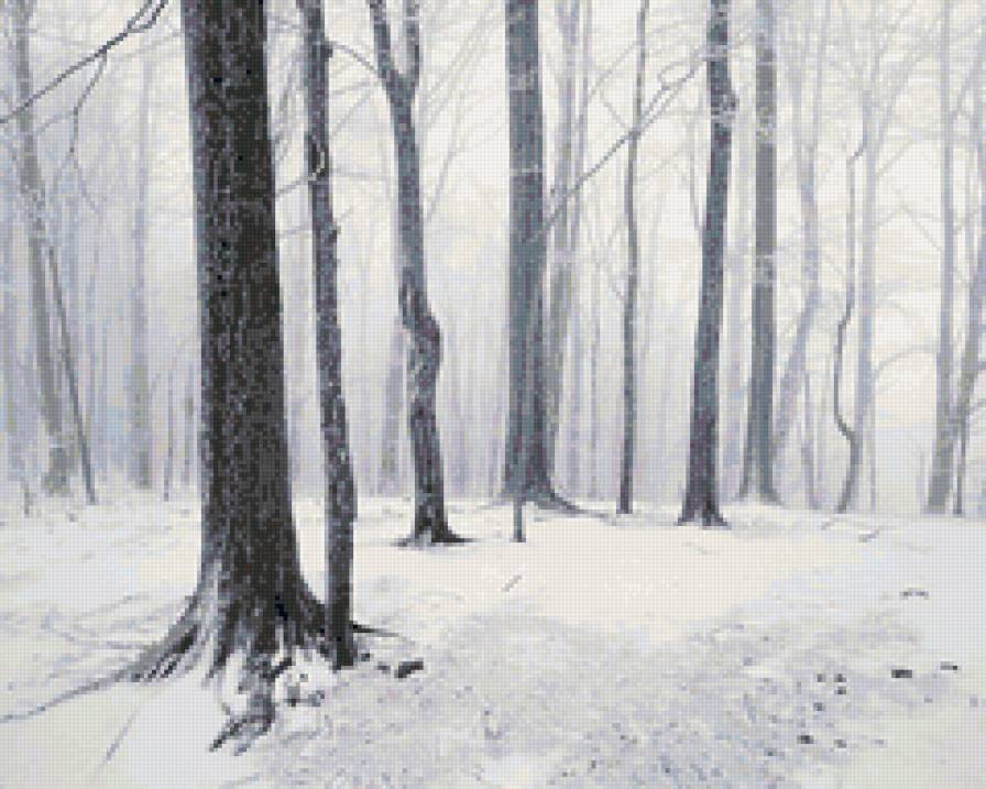 Зимний лес - зима лес снег - предпросмотр