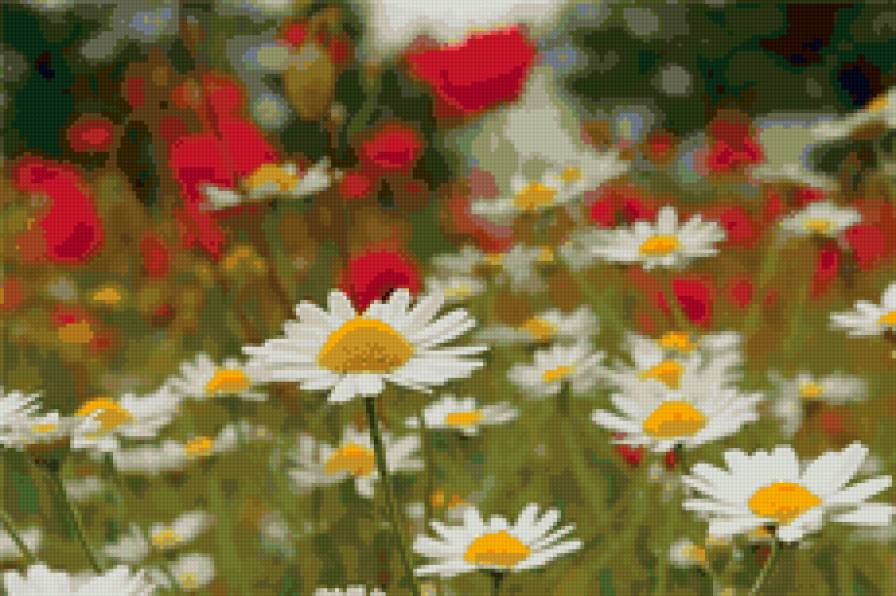 Летний луг - цветы луг пейзаж - предпросмотр