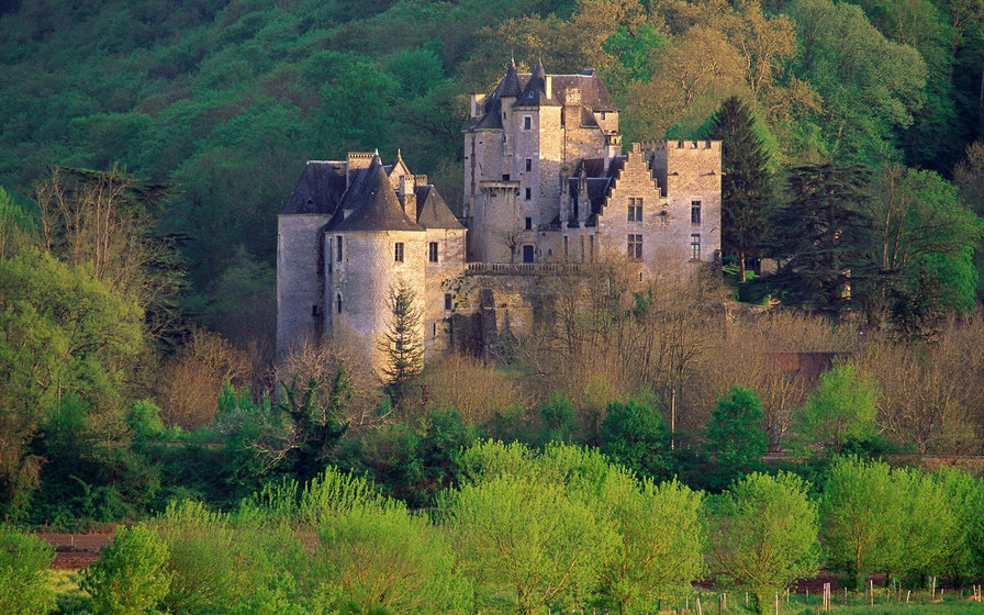 Старый замок - пейзаж, архитектура, природа, замок, лес, историческое - оригинал